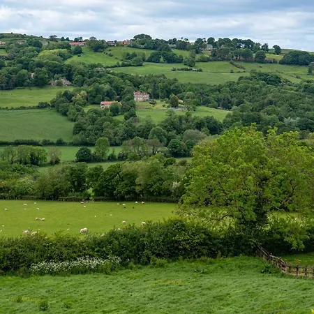 Primrose בית נופש *