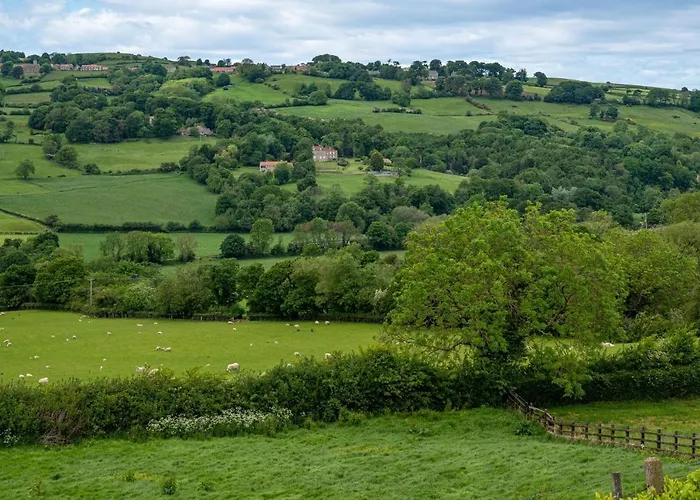 Primrose Holiday home *